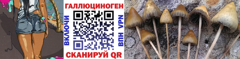 Галлюциногенные грибы прущие грибы  Приморско-Ахтарск 