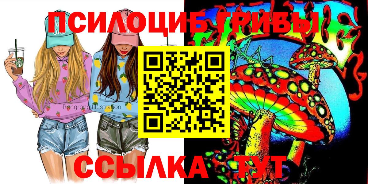 Галлюциногенные грибы мицелий  Вход с VPN  Приморско-Ахтарск  Галлюциногенные грибы GOLDEN TEACHER 